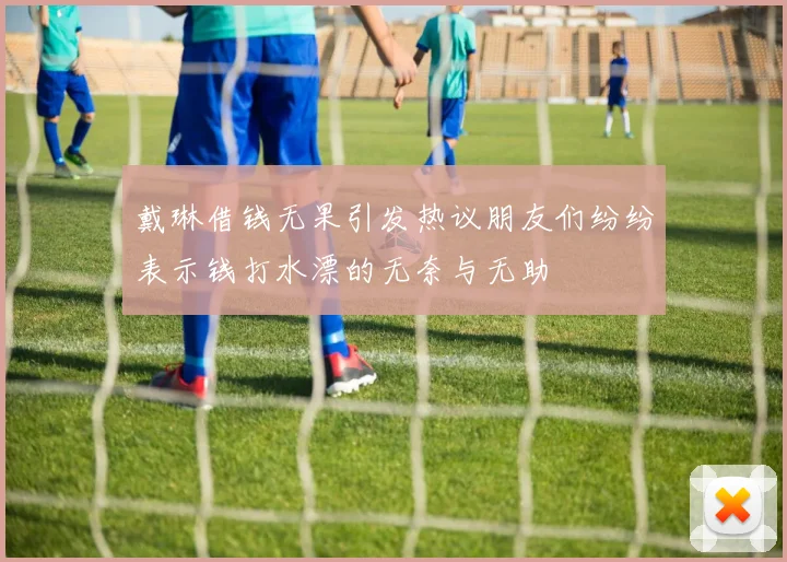 戴琳借钱无果引发热议朋友们纷纷表示钱打水漂的无奈与无助