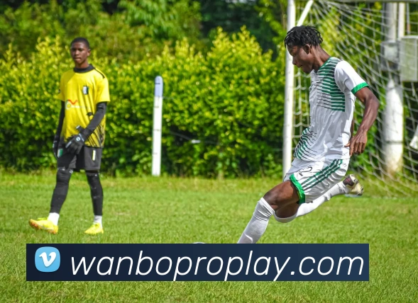 万博体育品牌故事